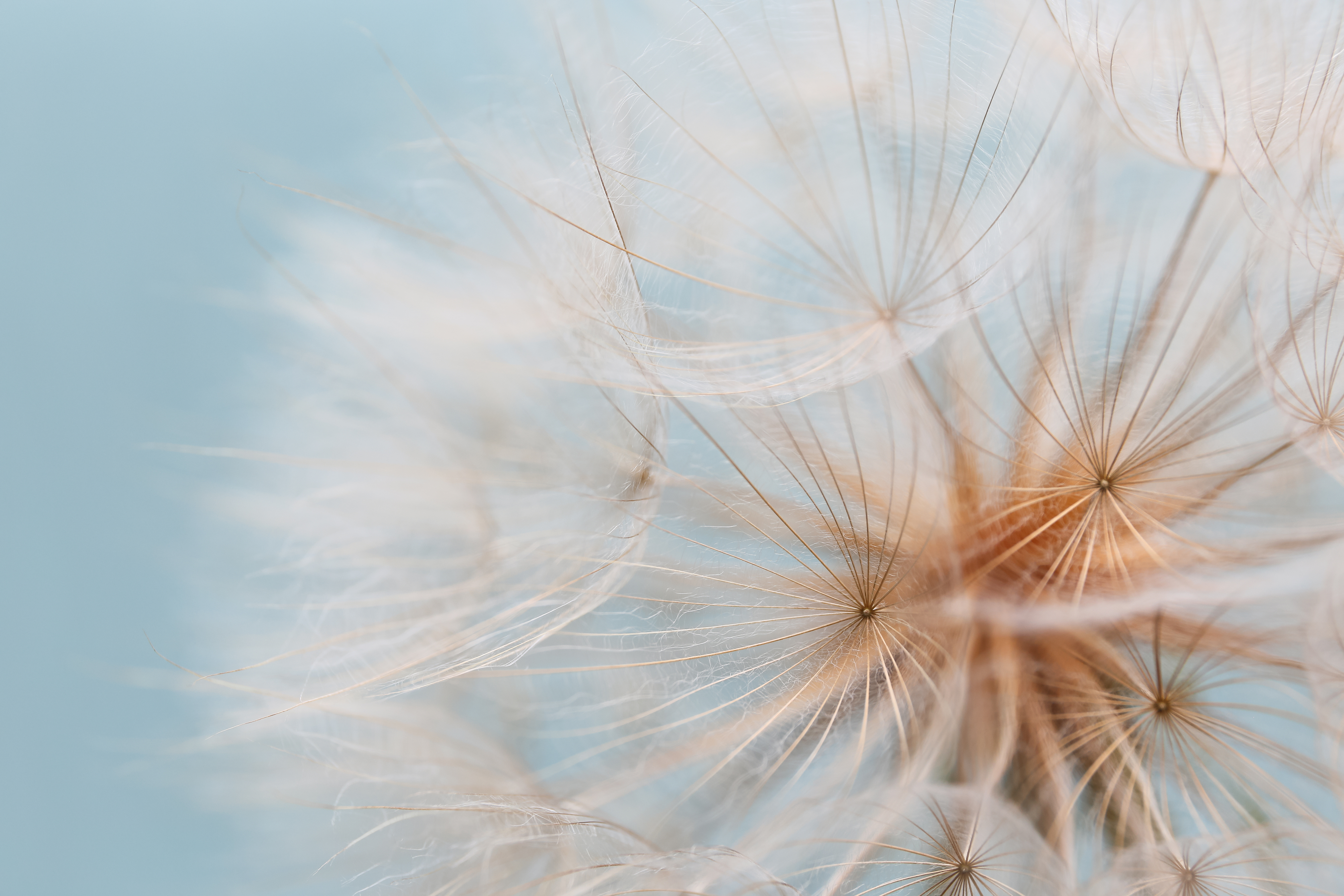 AdobeStock_408726030.jpeg